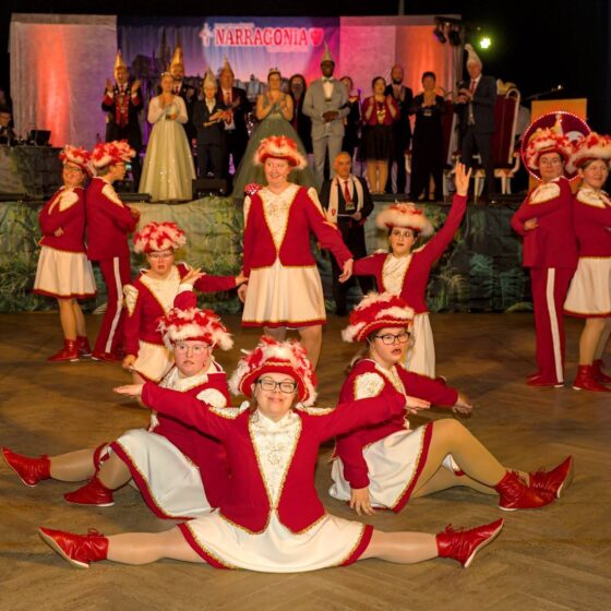 Hof- und Diplomatenball 2026