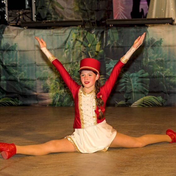 Hof- und Diplomatenball