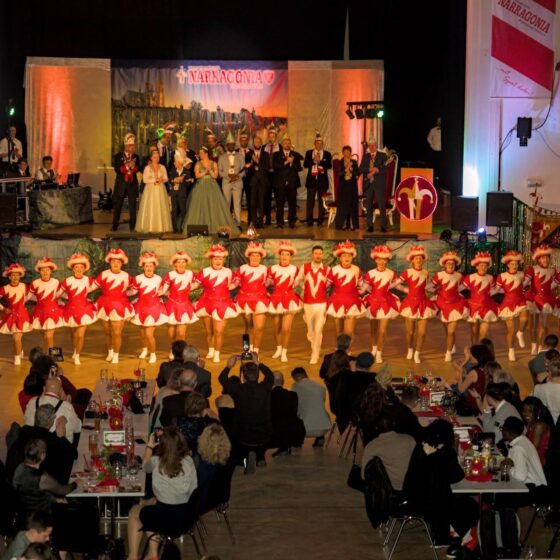 Hof- und Diplomatenball 2026