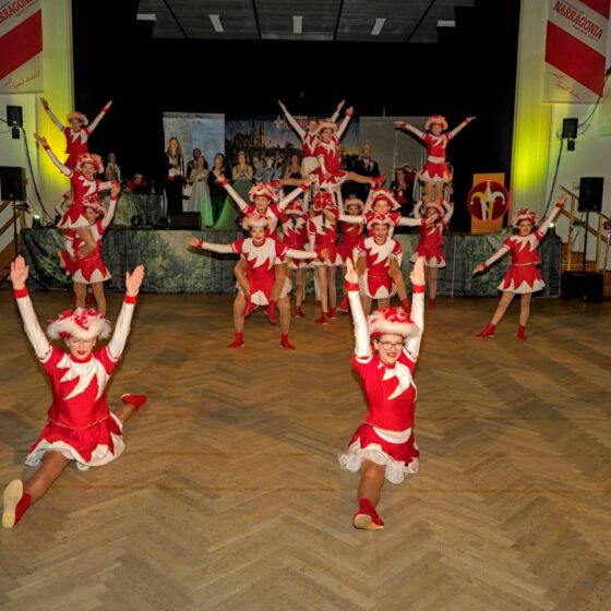 Rosenmontagsball 2026