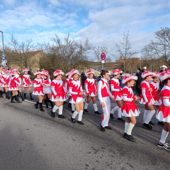 Ostbayerischer Faschingsumzug Schwandorf 2026